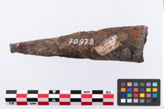 Foto von Eisenlanzenschuh (NHMW-PRAE-070978)